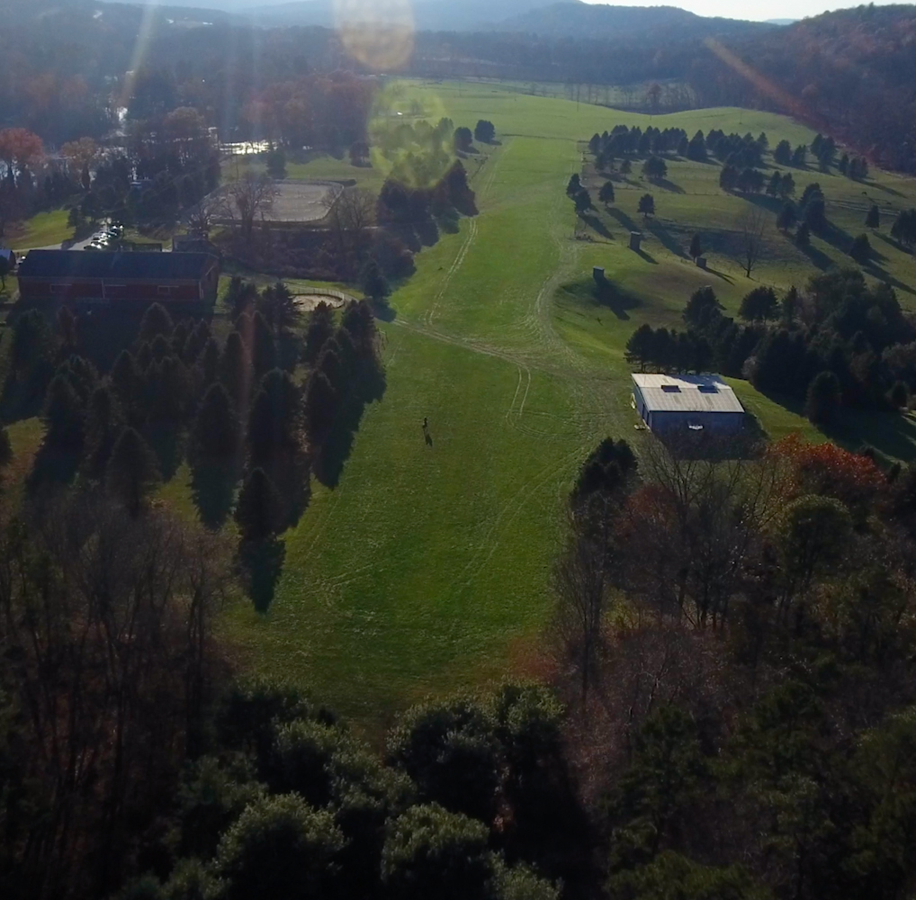 drone cinematography - aerial horse